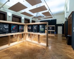 Mechorost jako predátor. Výstava Věda fotogenická ukazuje krásy vědy i humor